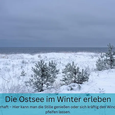 شقة Kuestentraum Strandmuschel - 1 Raum *