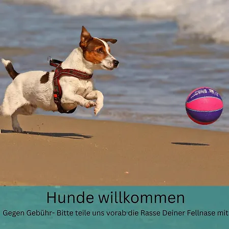 Kuestentraum Strandmuschel - 1 Raum アパート